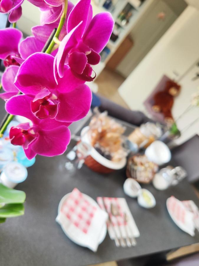 B&B Luvi 베로나 외부 사진